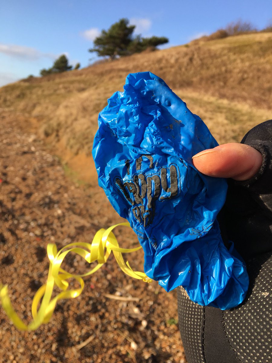 WildlifeGadgets's tweet photo. Did you know 65% of @McDonaldsUK restaurants are owned by franchisees? Let’s try to help persuade the franchisees to use less #helium filled #balloons as HQ doesn’t appear to give a bleep.

#2minutebeachclean #singleuseplastic #plasticawareUK https://t.co/dLKBnXS6vC