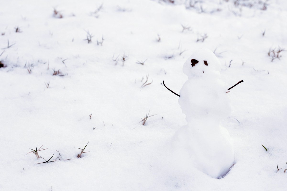 A lot of people like snow. I find it to be an unnecessary freezing of water.
--Carl Reiner 
I agree Too damn cold for yall that shit but got some great pics #snowday2018 #snowday #SouthernNotState #SnowMan