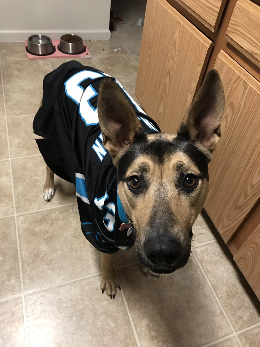 J_Waring4's tweet photo. Game day ready! Please don't tell her Benjamin was traded. https://t.co/xnFweXBOxU