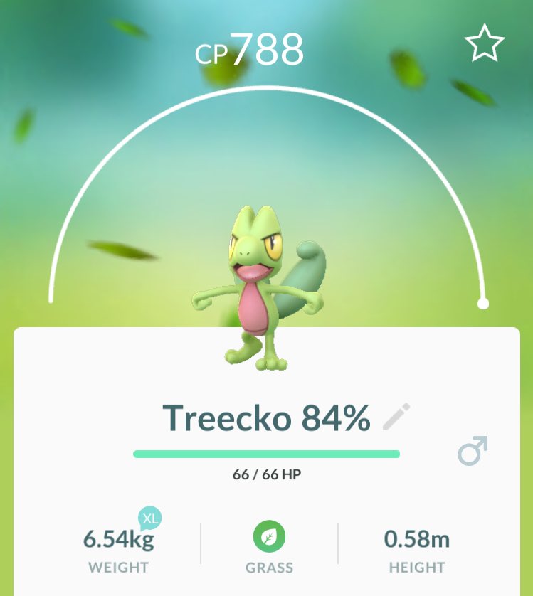Treecko  Pokédex