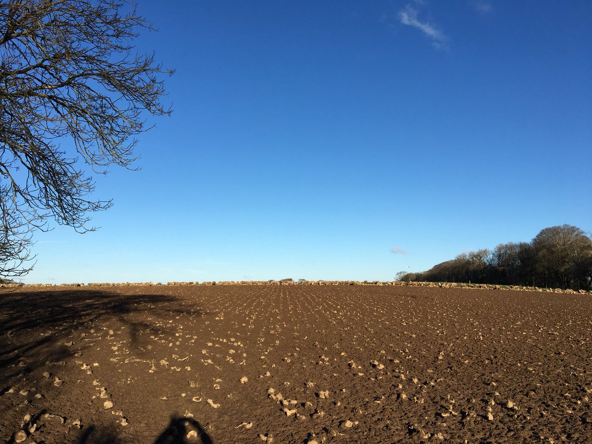 isdeitlanunig's tweet image. Heddiw #biwmaris #keepers #tirwedd x