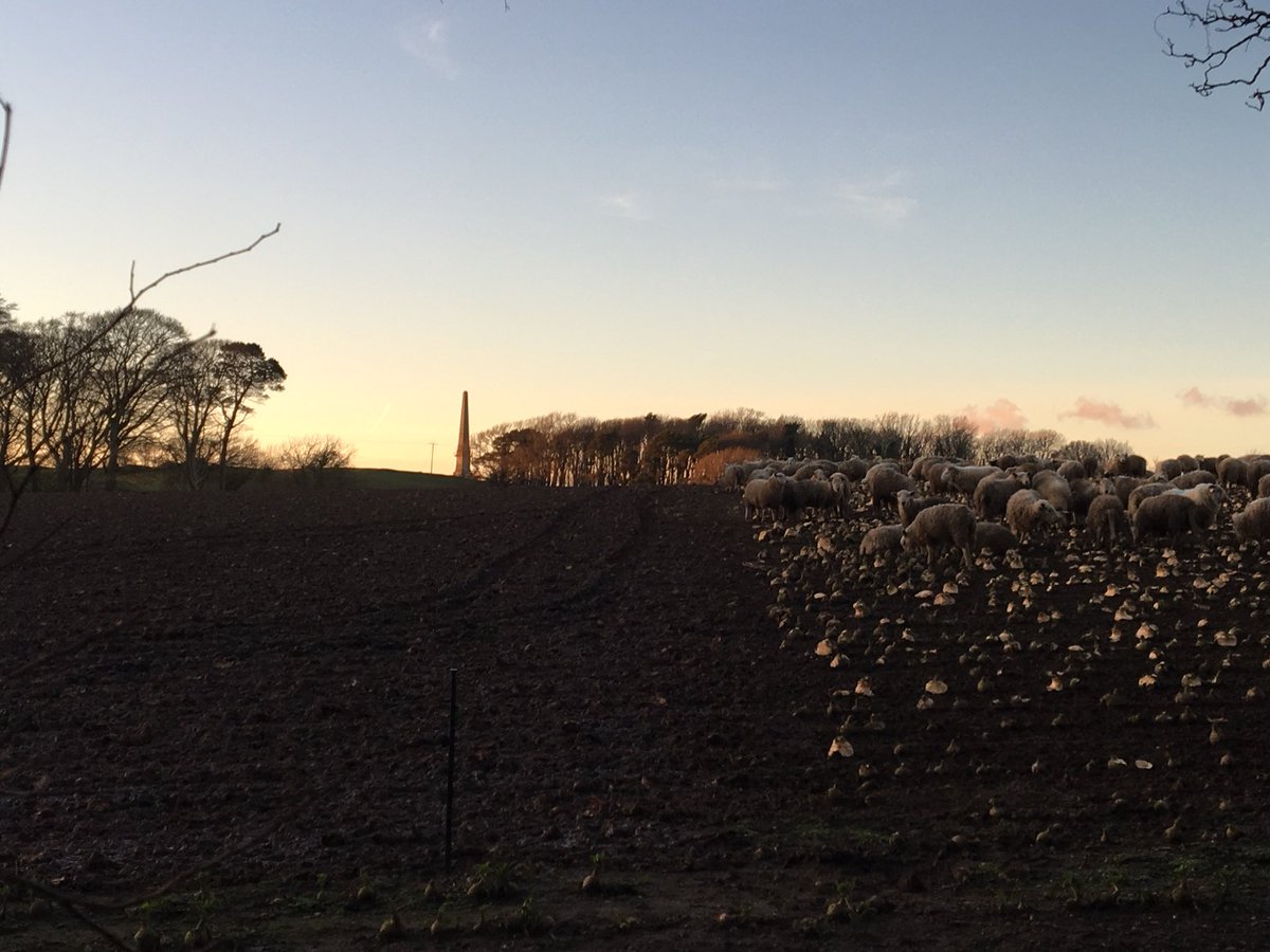 isdeitlanunig's tweet image. Heddiw #biwmaris #keepers #tirwedd x