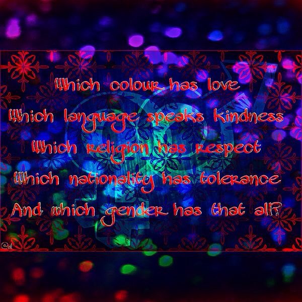 Daniela Lippke tweet media