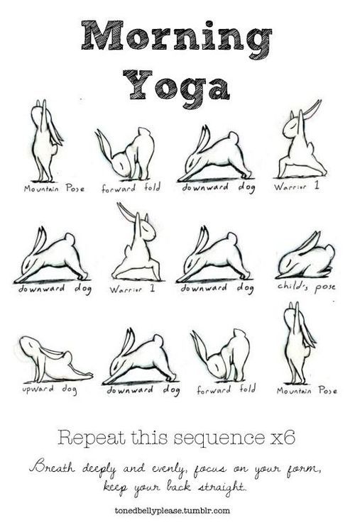 realMarlonBundo's tweet image. Time to start working off that holiday weight gain... 

#BOTUS #RabbitTwitter #RabbitsOfChristmas #MarlonBundo #PencePets