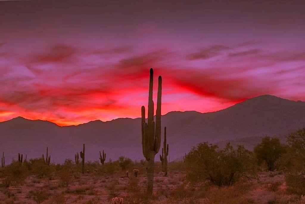 Just another one of Arizona’s sunsets.
.
.
.
#arizona #az #surpriseaz #surprise #sunset #clouds #desert #mountains #desertsunset ##saguaro #cactus #desertsky #desertlife #azcentral #azfamily #nikon #d500 #landscape #whitetanks #lightroom #photoshop #skyfire