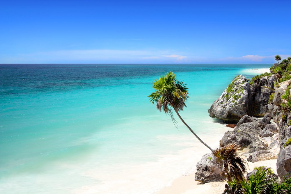 YucatanHolidays's tweet photo. #Tulum beach... 😍
Playa de Tulum…💙 https://t.co/QKbIhvUzcu