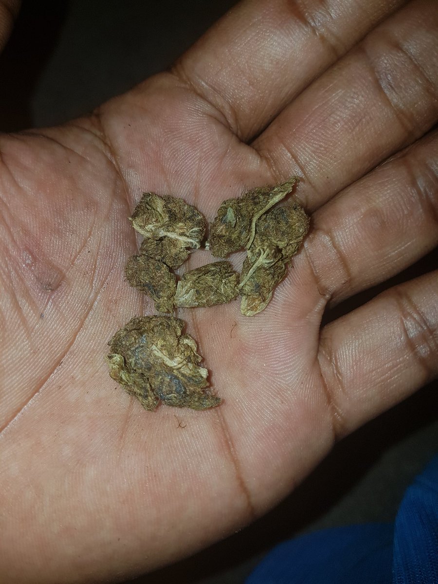 Matheus79913360's tweet photo. Booa nooite ta rolando 🍁💸 https://t.co/tpVZFptuOU