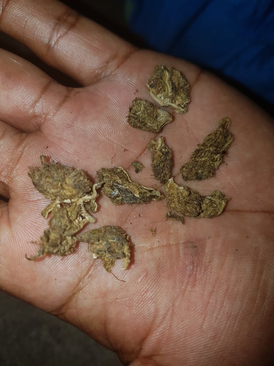 Matheus79913360's tweet photo. Booa nooite ta rolando 🍁💸 https://t.co/tpVZFptuOU