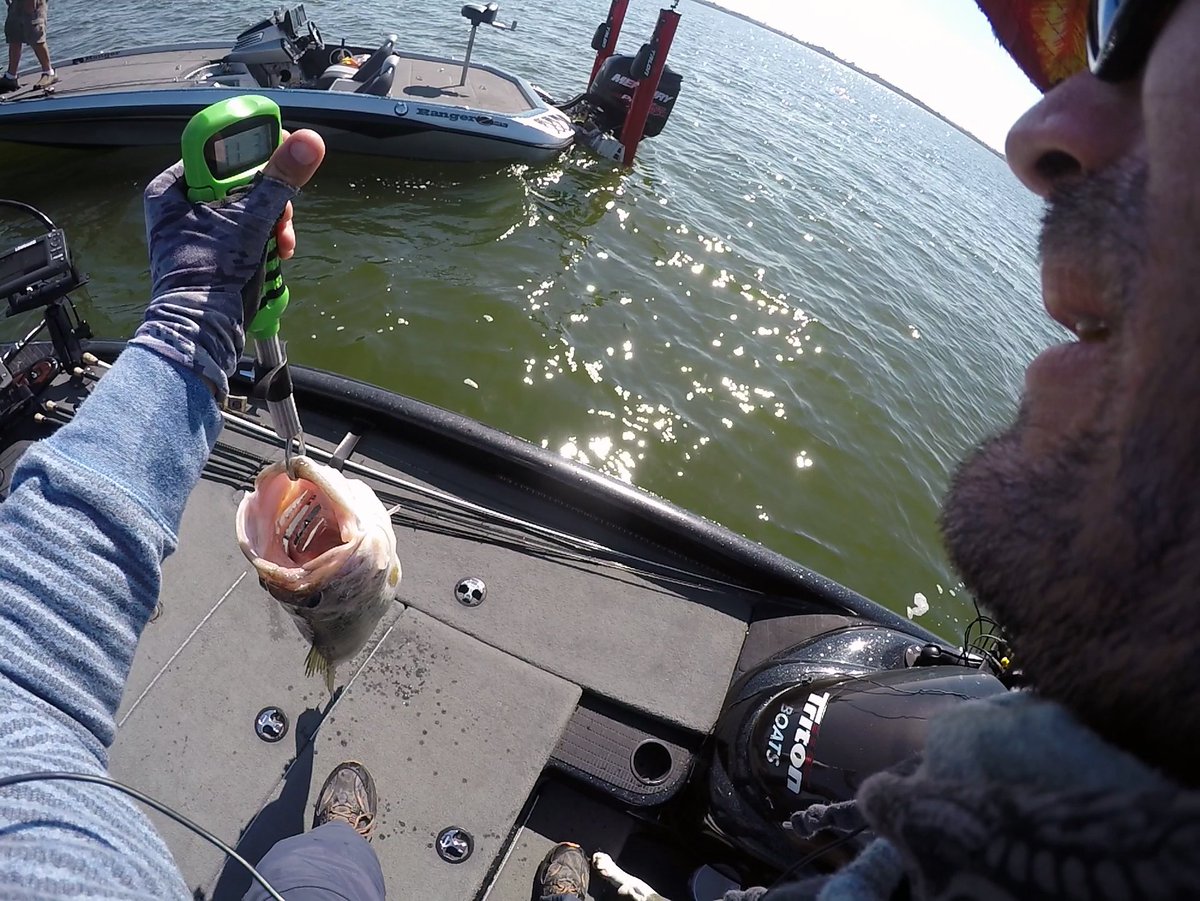 mikeybalzz's tweet photo. I'm not a numbers guy but how 'bout #deez #numbers....
Gambler Lures #DigitalCullingScale #TrophyCatch https://t.co/9TAkeTtqyH