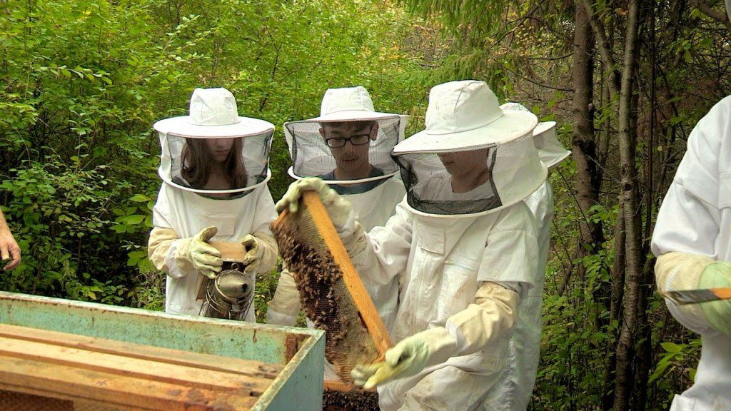 Science4UsSays's tweet photo. Science and Literacy: BAM. Sparking Curiosity and Solving Real-World Problems via @edutopia https://t.co/YJ1NJFkYi1 #KidsDeserveIt #MakeADifference #ProblemSolvers #honeybee #ProjectBasedLearning #educatedconsumers #DriveStandards #STEM https://t.co/ugnieWQk9F
