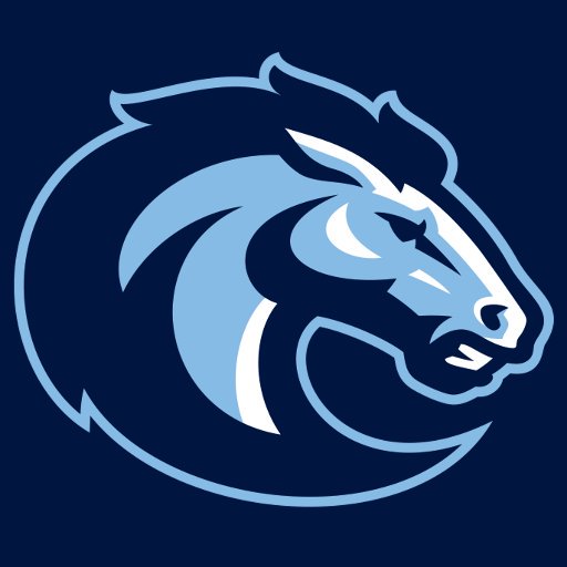 Let's take it outside! Wednesday, January 3, 2018 at 6:00 p.m., <a href="/SJVHockey/">SJV Ice Hockey</a> faces-off against <a href="/CBAColtsHockey/">CBA Colts Hockey</a> at the Navesink Country Club in a military application game! CBA is collecting for "The Lt. Dennis W. Zilinski Memorial Fund;" while SJV is collecting for "Paws for Vets."