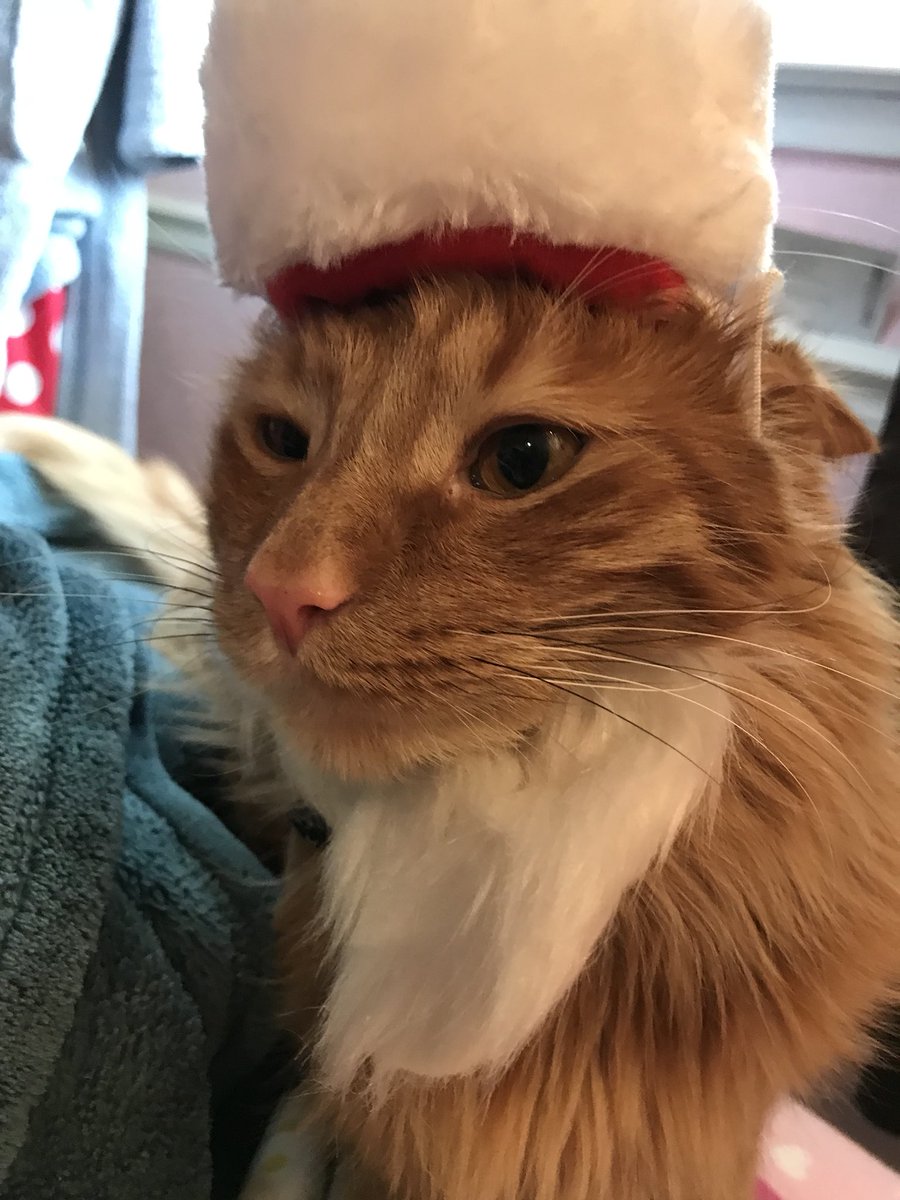 BeanzamakeUdanc's tweet photo. merry crunkmass @joshgroban and @Krampus the only two worthy of a good cumpass https://t.co/qTLVMOS40X