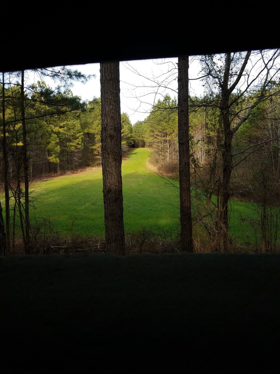 jerrysandersRTR's tweet photo. Just sat down in the shooting house.. Wish me luck..
#BuckBuster  .. https://t.co/WIcB9r4NaV