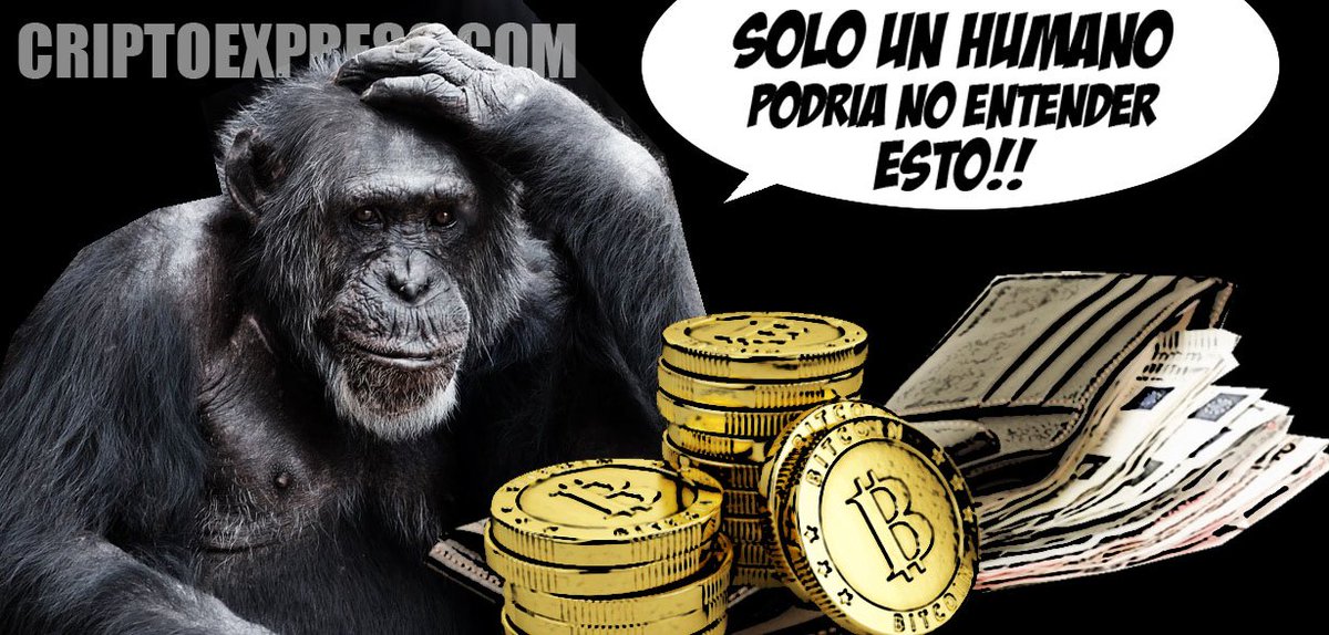 CriptoExpress's tweet image. Guía para saber qué es un monedero de bitcoin
criptoexpress.com/la-guia-defini… #bitcoinespañol #bitcoinargentina #bitcoin