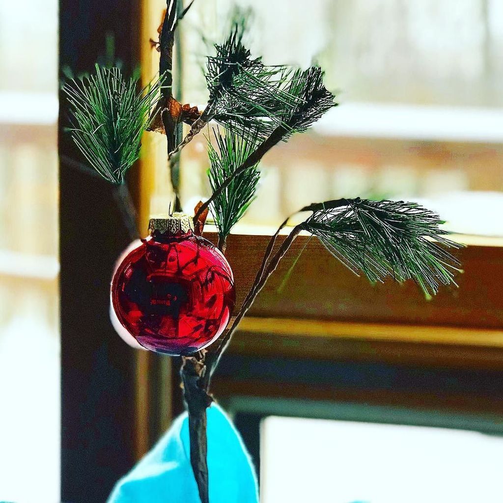 raleighwhatsup's tweet image. | TRAVEL | Snowy mountain time! #WV #charliebrowntree #canaanvalley #traveltuesday ift.tt/2DTGpuD