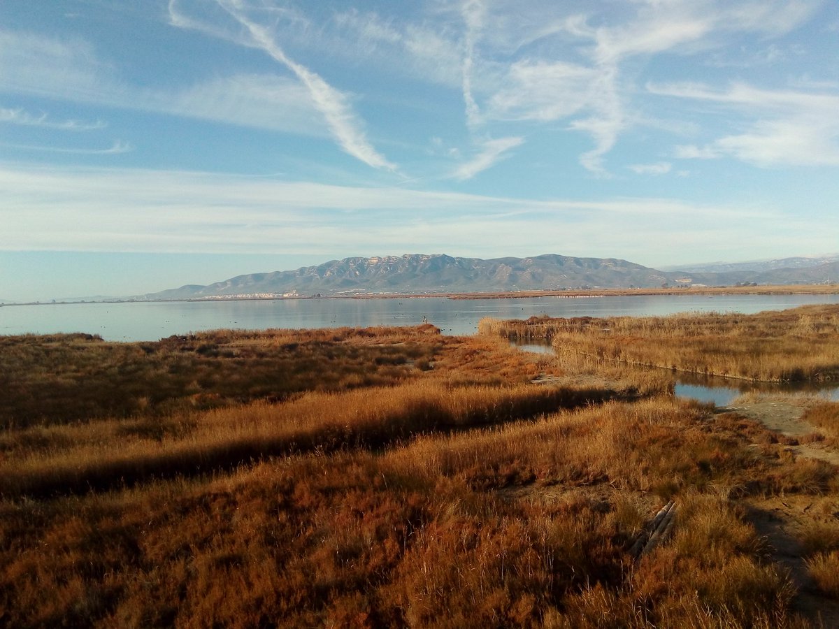 Rutes_Montsia's tweet photo. L'encanyissada. PN #Deltadebre #Montsia Reserva de la #biosfera #rutesmontsia https://t.co/8re5d9CpuJ