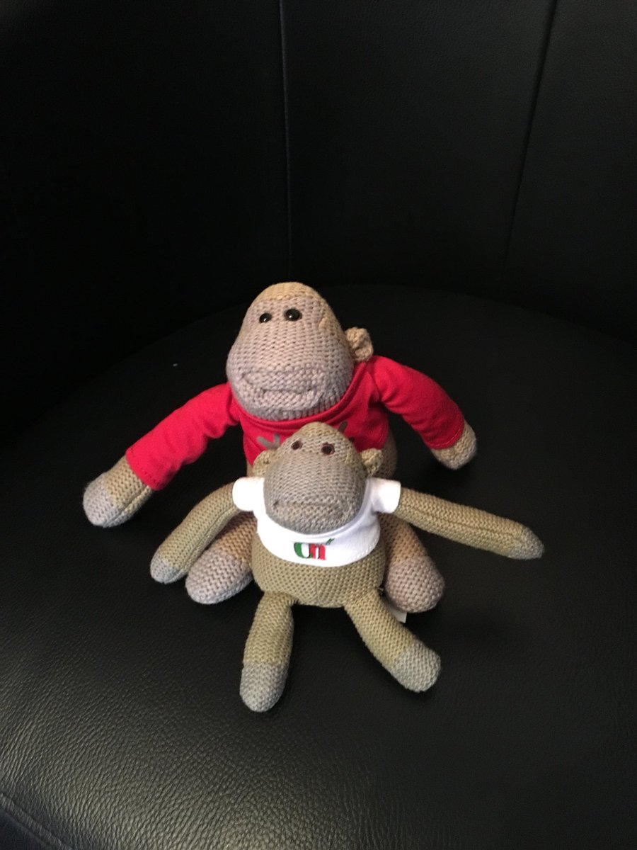 joestrike96's tweet photo. Buddy and Noel monkeys #pgtips https://t.co/v5B7SCYv8M