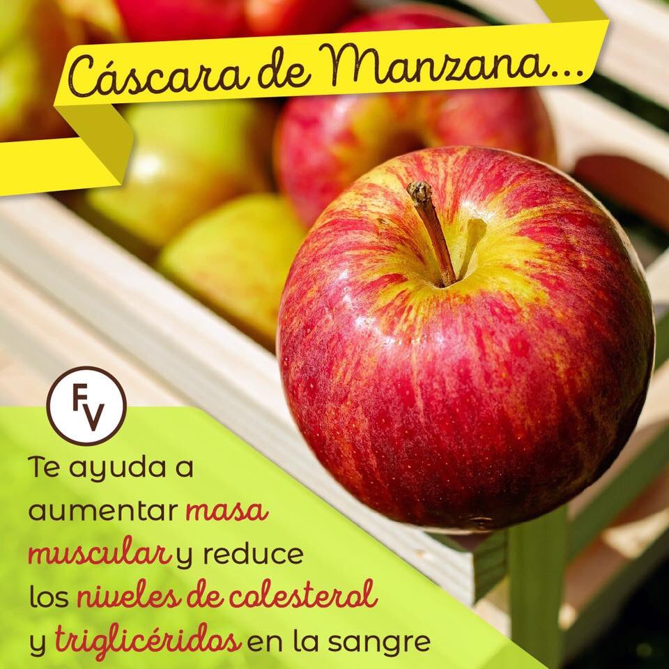 Frutiver1A's tweet photo. Dato curioso para comenzar el día. https://t.co/cLIAMCH7sz