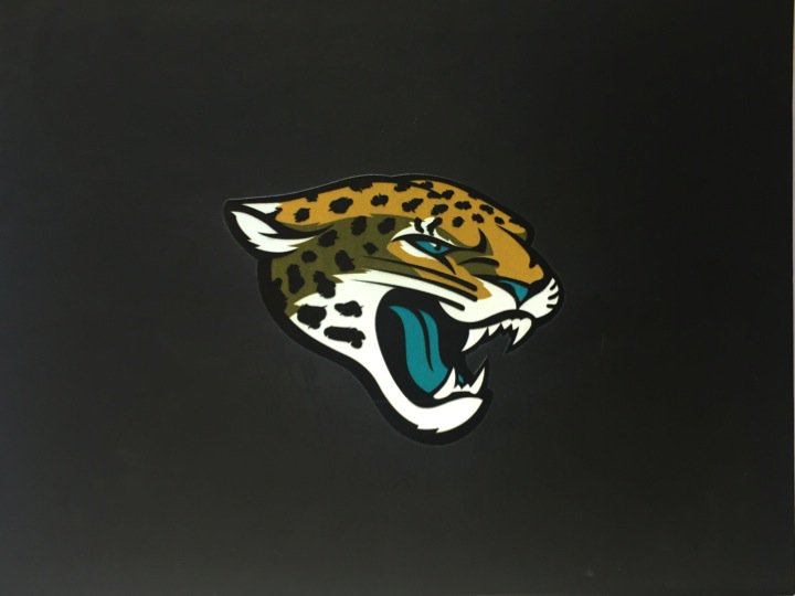 SCbattle_belt's tweet photo. A big thank you to @BBortles5 and the @Jaguars for the best Christmas gift ever! We can't wait to watch them win in the playoffs (and the superbowl). The Jaguars are Sam's favorite team and Mr. Bortles is his favorite player. We are truly honored for this amazing gift! #GoJags https://t.co/JPf3oYDtfe