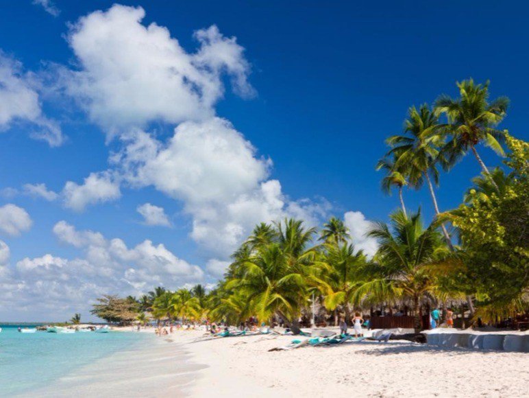 AlpineAire99's tweet photo. Tired of the cold yet? Ready for a getaway after the holidays? Check out these 18 vacation spots to get away from it all! ✈️
https://t.co/3pwcWbevQt https://t.co/DsXOV8ItUA