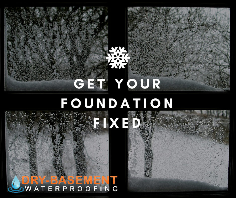 basement_dry's tweet photo. In need of foundation repair solutions? Visit us here: https://t.co/yEKA8DtPKt https://t.co/QFfFhsJ2Pd