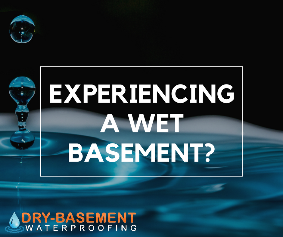 basement_dry's tweet photo. A wet basement is not something you want to wait on. Give the professionals a call today! https://t.co/yEKA8DtPKt https://t.co/USkPoofl1f