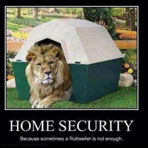 BWSecureTech's tweet image. During the holiday season what type of security system do you want?
