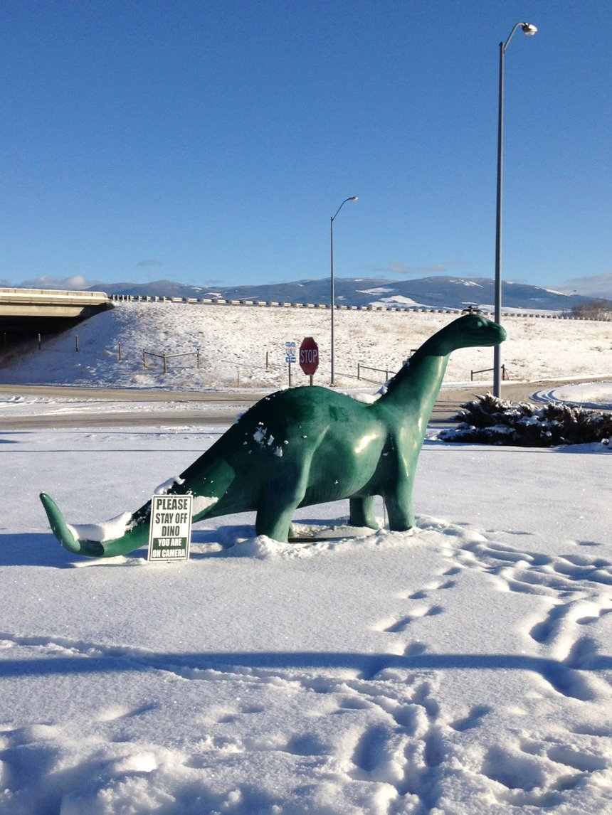 Doc_Clark_'s tweet photo. Wildlife observed in Montana https://t.co/keWKZZeI7A