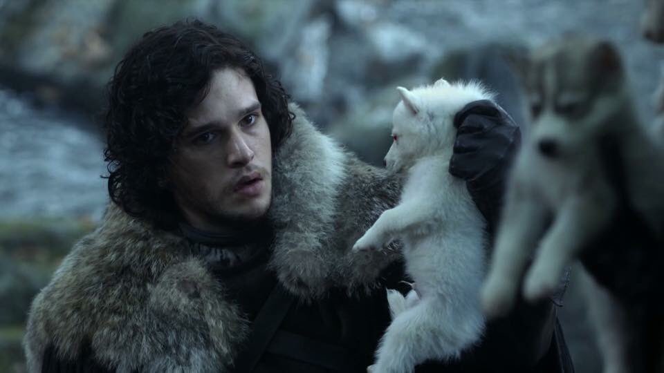 Happy Birthday to Kit Harington!  I love you so much 