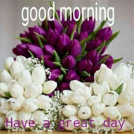 ranigill7's tweet photo. #GOODMORNING #WOW!!!  #HAPPY MORNING
#NEW DAY WEDNESDAY  27TH OF dec XMASWEEK
#WELCOME 
#WISHING YOU ALL A LOVELY DAY 
#BE HAPPY 
#BE BLESSED 
#CHEERs https://t.co/xMPqMUB21B