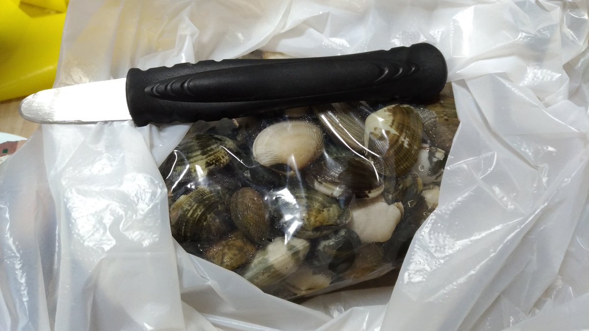 でこ 明日のカワハギ用にアサリの仕入れをば スーパーにアサリがないので浦安魚市場に行ってみたら小さいのを選別したものが1kg800円 250粒ほどあり満足