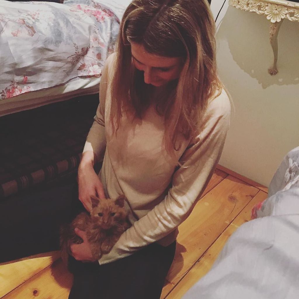 _VikkiKnowles's tweet photo. this little guy came and sat on my lap 😭❤️🐱 https://t.co/beR0xyAy5l https://t.co/mK5tzD1F1g