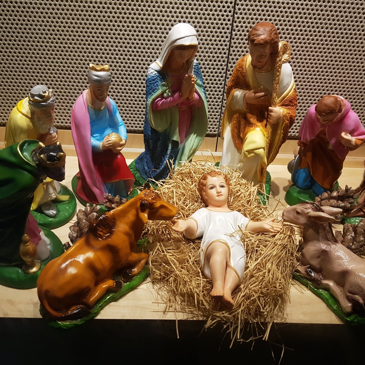 성스러운 생명의 탄생