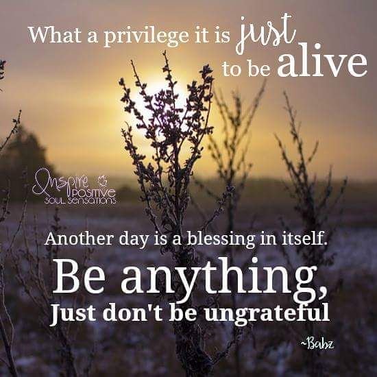 Be ANYTHING, just not un-#Grateful. #JoYTrain #Joy #Love #Gratitude RT @PinaCap @maymcc