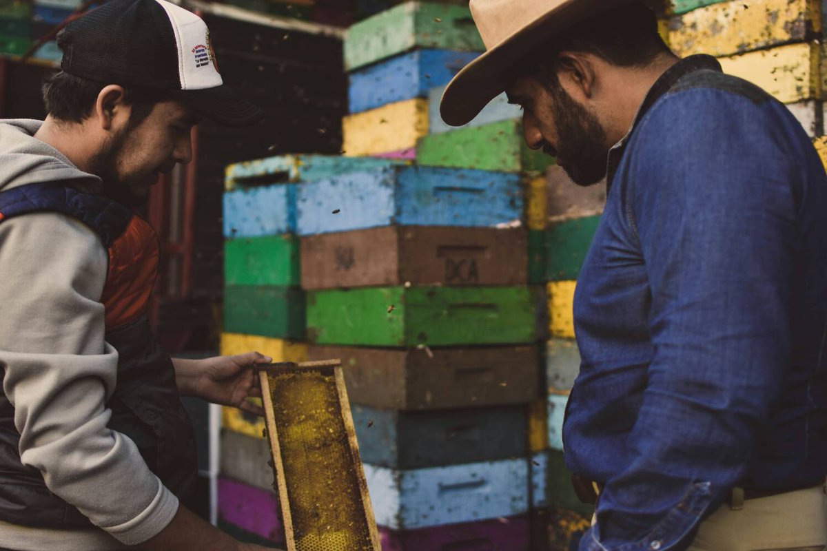 JuanAndresRaDo's tweet photo. Andamos buscando gente que se atreva a hacer realidad un cambio en su localidad que quiera dar todo por mejores condiciones de vida en sus pueblos y que participé en el desarrollo de Puebla, ¿quien se apunta? https://t.co/8yN2ywMk6u