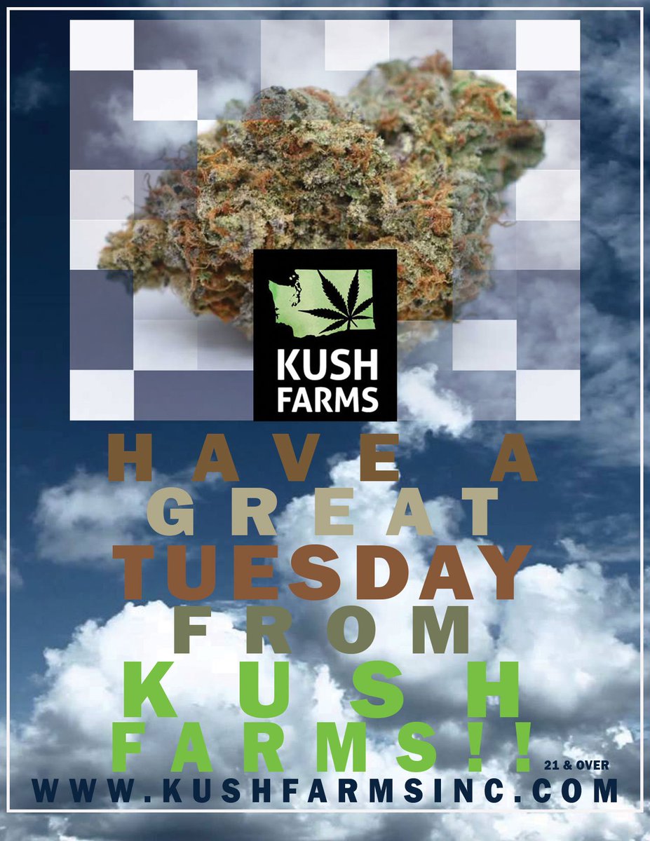 kushfarmsInc's tweet photo. Happy Tuesday!!
#i502 #washingtonweed #dragonweed #kushfarmsinc #theherbery #holidayweed #cannabis #weed #thc #i502producers #cones #earthy #kush#smoke #weedmemes #high #caviarcone #nwweed #weedfeed #CannabisCommunity #vanweed #smoke #funtimes https://t.co/HYY55EQ2wP