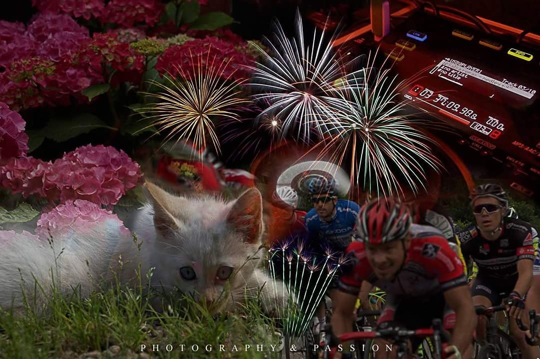 Pascal02300's tweet image. À l'aide du logiciel Photoshop...