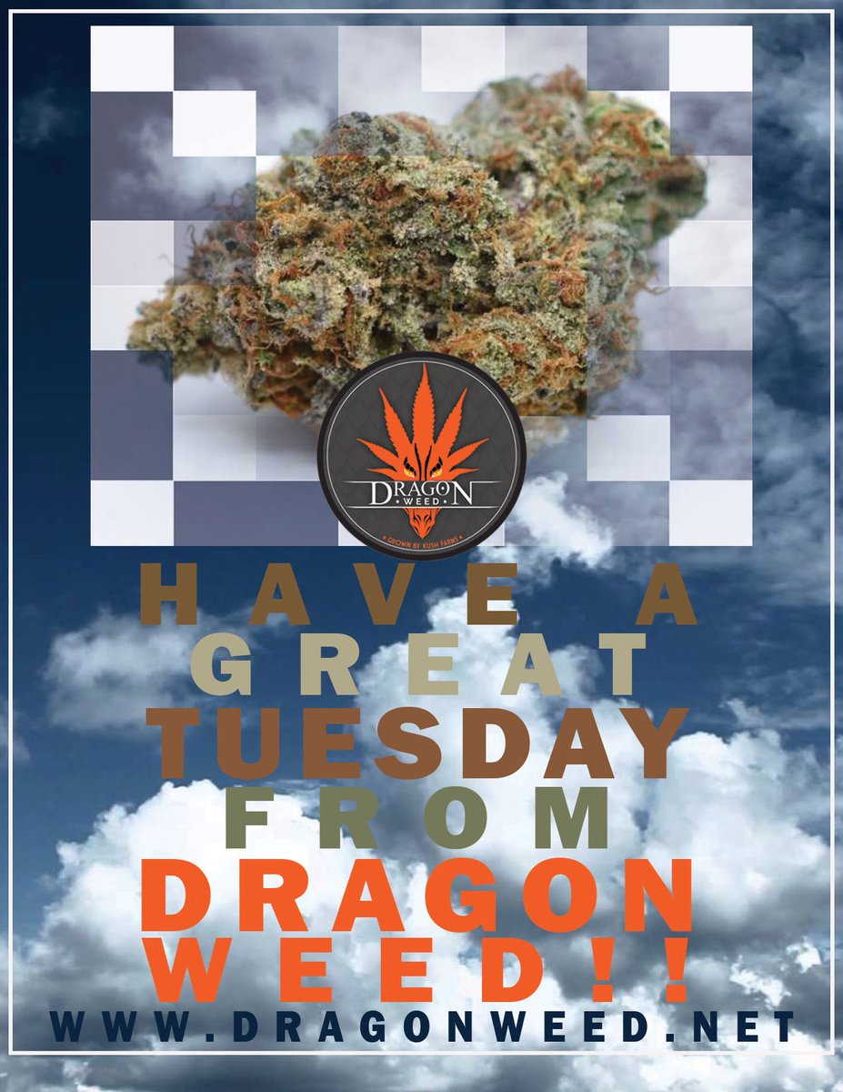 Dragonweedi502's tweet photo. Happy Tuesday!!
#i502 #washingtonweed #dragonweed #kushfarmsinc #theherbery #holidayweed #cannabis #weed #thc #i502producers #cones #earthy #kush#smoke #weedmemes #high #caviarcone #nwweed #weedfeed #CannabisCommunity #vanweed #smoke #funtimes https://t.co/aKKLejZT2i