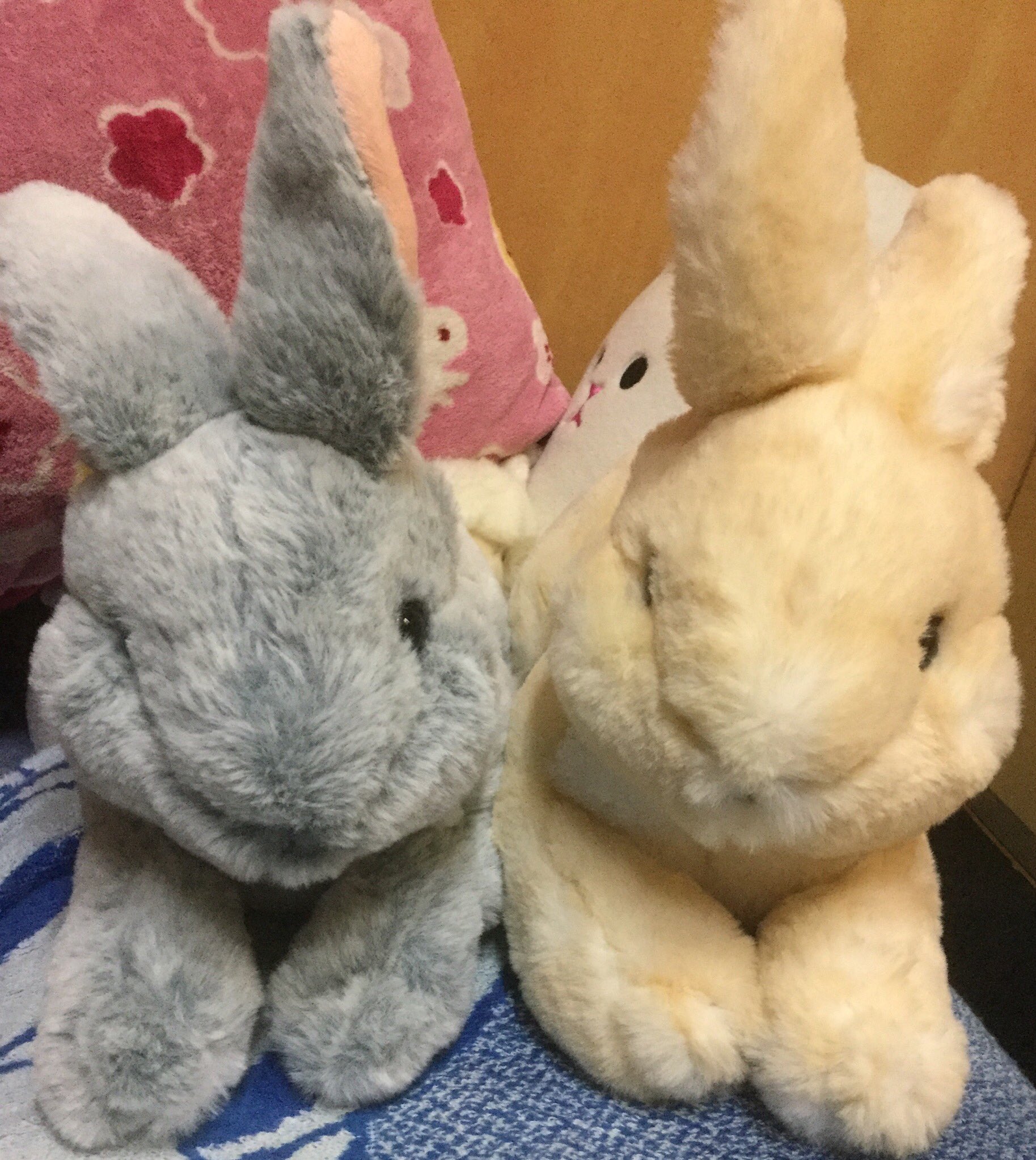 夜 Auf Twitter 前に買った丸っこいウサギさんは ている と名付けたので ひざうさぎ達にも名前を考えているけど悩み中 T T 最近スーパーで見かけるお餅コーナーのせいで ごま と くるみ しか浮かばないんだよなぁf それにしても触り心地最高 W 三