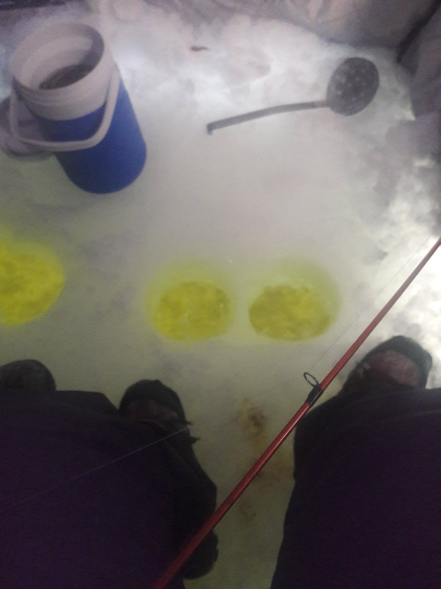 Eagle One Bait Co. (@cfieger1982) on Twitter photo 