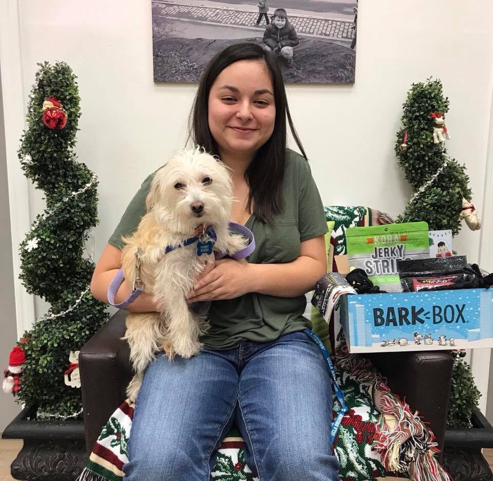 PawWorks's tweet photo. Felicity was adopted, but tragedy struck when the home of her and her adopter was claimed by the #Thomasfires 

Her adopter reached out to us for assistance while she got her feet back on the ground.

After a few weeks, the adopter thought it best for her to be adopted by Angela https://t.co/iWTohIJ38a