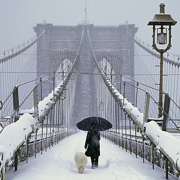 SuzanneLepage1's tweet photo. #HappyWednesday all friends around the world 🌏🌍🌎💖
Brooklyn bridge, New York 🇺🇸 https://t.co/TYpOnwMRKG