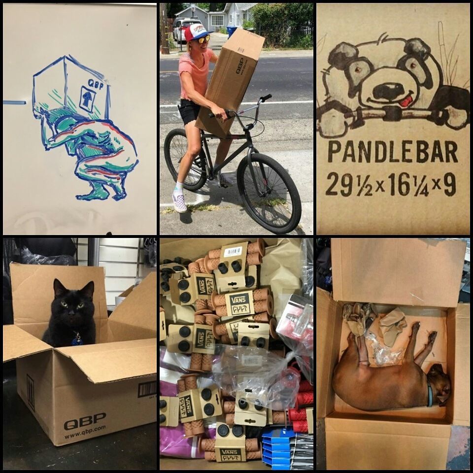 QualityBike's tweet photo. #QBPbox became a thing... 📦 #QBPs2017 📷→ Artwork by DC Flex Team member Daryl Gregory, @eekachorek 👉 @squidbikes delivery services. 👊, "Pandlebar" by Brian Oldro at Trek Bicycle Omaha, Fat boy @empirebmx
don't care..., QBP box destined @TrailT… https://t.co/07zoncAOZ0 https://t.co/zh4K2Zefha