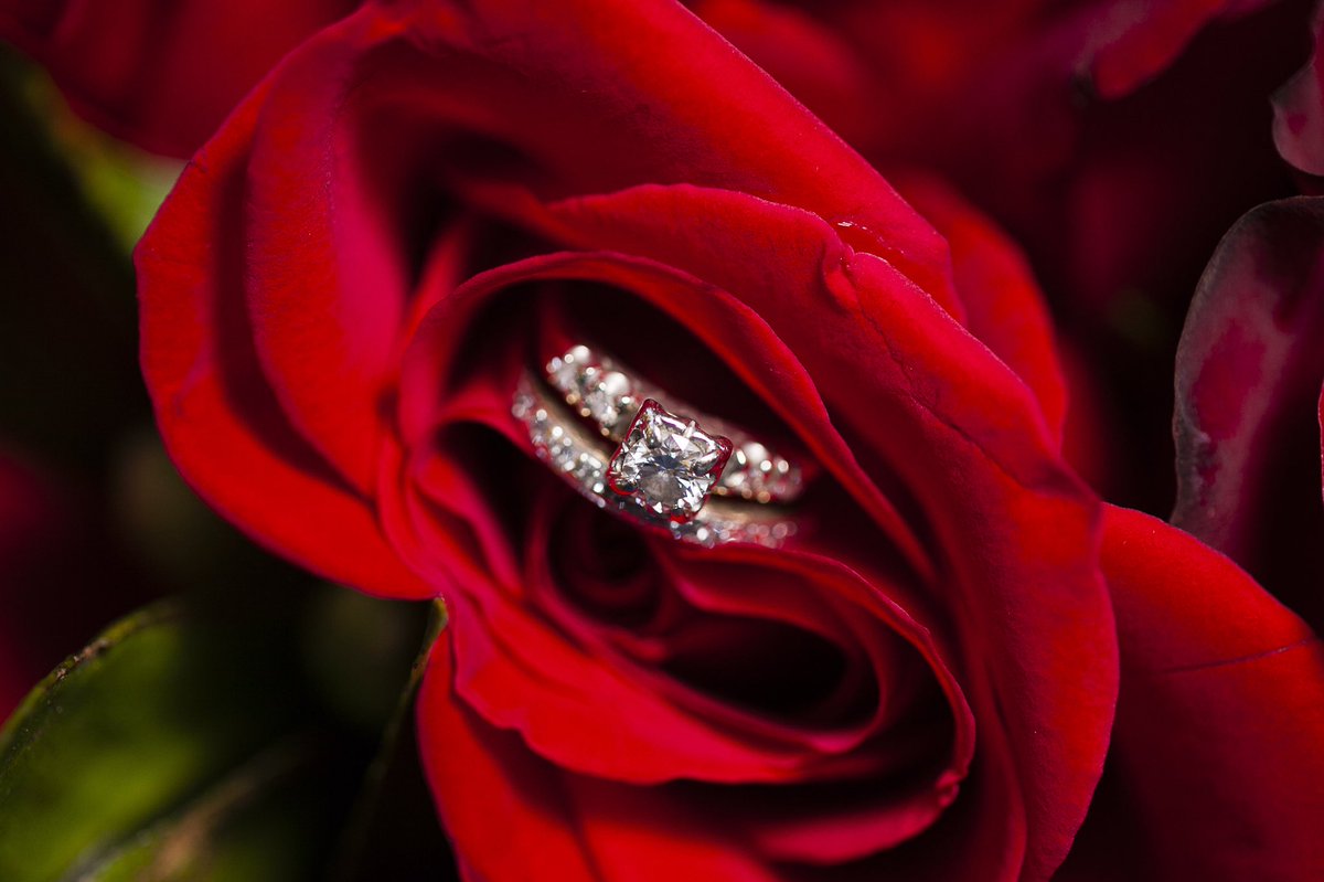 dsktpdva's tweet photo. CONGRATULATIONS on your engagement!  A professional wedding planner (not your cousins Aunt on your daddy’s side, but a Certified professional) is the ultimate resource for your big day. I can recommend you to some of the best! Photo @molliebbt   #shesaidyes #isaidyes #engaged https://t.co/U5jXGP7vY4