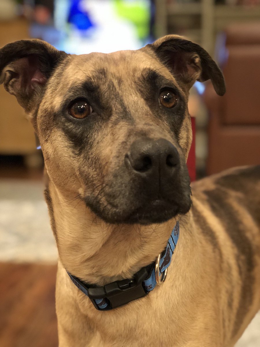 ZachMarco's tweet photo. first pic with the iPhone X. thanks for modeling, rem. https://t.co/iSDC9N9Y2t