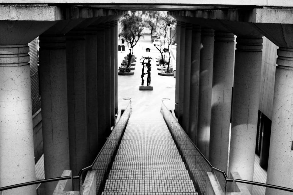 SouperSized's tweet photo. Steps. #sf #sanfrancisco #ca #california #steps #sculpture #dof #perspective #bw #blackandwhite #blackandwhitechallenge #igblacknwhite #igbw #contrast #blackwhite #light #shadow #igpic #instagood #picoftheday #urban #ig_street #city #street #blackandwhit… https://t.co/MUKLefCe2u https://t.co/8kw3s8Ttt9