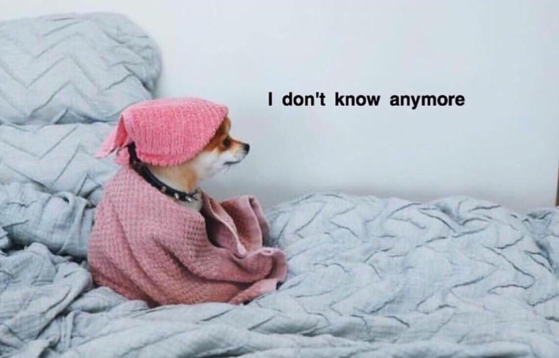 Me after watching conspiracy videos for 3 hours straight