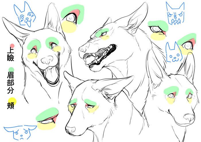 いちあっぷ By Mugenup クリエイティブ制作会社 身体の仕組みから考える 獣人を描き方講座 いちあっぷ T Co Hav60cpifo 絵が上手くなる記事はコレ