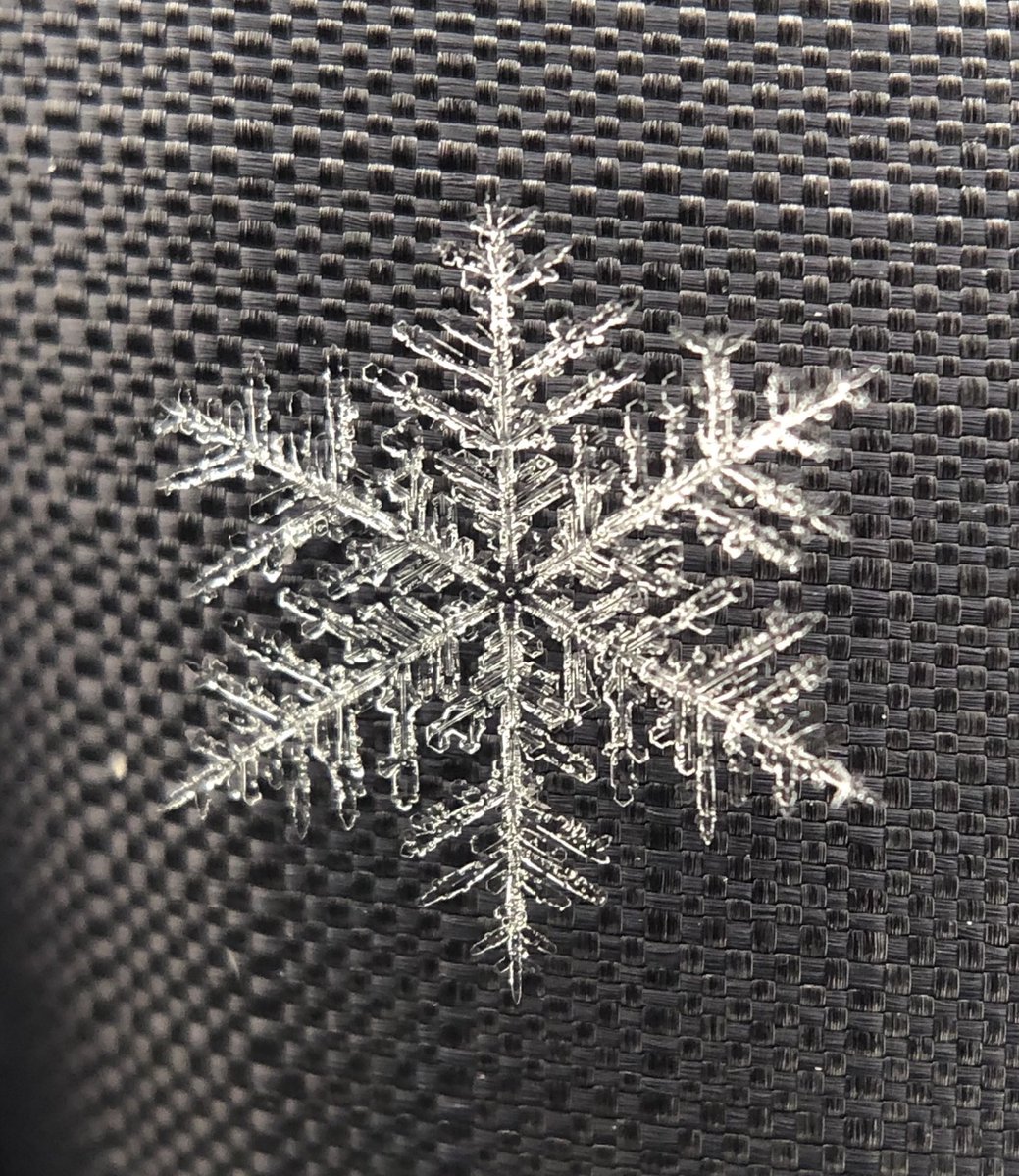 #shotonmoment #shotonmomentmacro '(Technology) has profound implications. It's fascinating how you are the only person who would ever see that (particular snowflake). It disappears in a second and you just made a record of something that doesn't exist anymore.' — Michael Peres