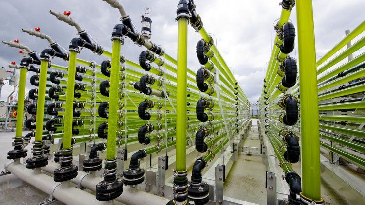 BiguartA's tweet photo. Bionomique flourish in Europe, and every kind of business may benefit from this trend. 
More important, huge investments are made in bio-technologies, such as new #green #polymers leading a soaring market. https://t.co/CvQgs4axz9 via @fintribune 
#entrepreneur #success #startup https://t.co/Pz83ZhKqBg